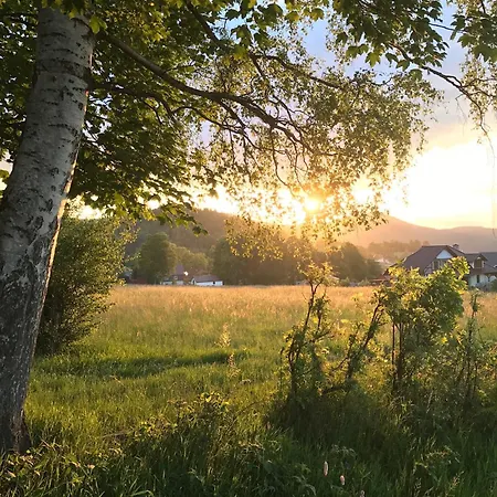 Avita 3* קרפאז'